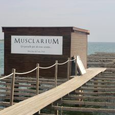 Musclarium